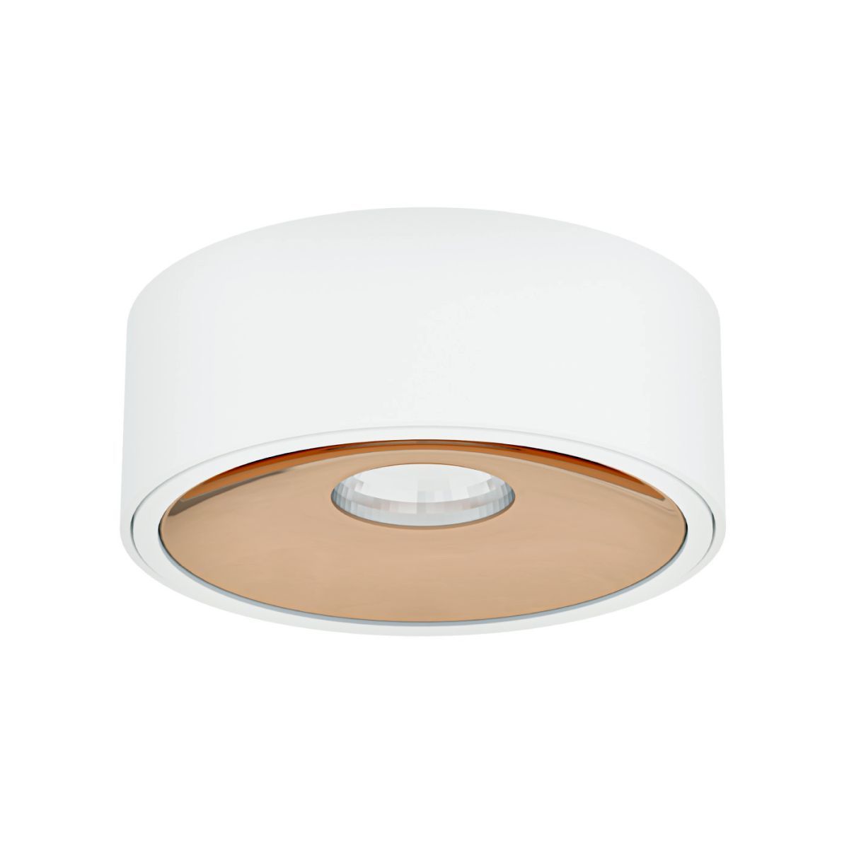 Open Design Highlights-Neo-OR82296-ORLOR82296