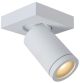 Lucide-TAYLOR-09930/05/31-LCI09930/05/31