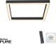 Paul Neuhaus-PURE-LINES-6022-13-PLN6022-13