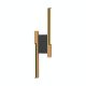 Zuma Line-ELIOT-MB4980-2B-3BMT-ZUMMB4980-2B-3BMT