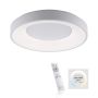 Paul Neuhaus ANIKA 14326-16 Süllyesztett mennyezeti lámpa 1x26,5W/LED CCT 2700K-5000K 1900LM IP20