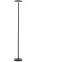 Paul Neuhaus HANS 11729-18 Állólámpa 1x27W/LED 3000k 2500lm ip20