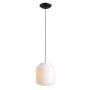 Aldex FLASK ORCHID L 8500G1_L Függőlámpa 1x15W/E27