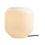 Aldex FLASK ORCHID S 8500B1_S Asztali lámpa 1x10W/E14