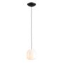Aldex FLASK ORCHID S 8500G1_S Függőlámpa 1x10W/E14
