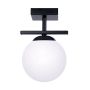 Zuma Line GLOBE 1210 Plafonlámpa 1x10W/E14 IP20