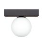 Zuma Line SPHERE 1206 Plafonlámpa 1x8W/G9 IP20