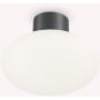 Ideal Lux CLIO 148861 Plafonlámpa 1x42W/E27 ip44