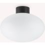 Ideal Lux CLIO 148878 Plafonlámpa 1x42W/E27 ip44