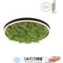 Paul Neuhaus GREEN RITUS 15391-66 Plafonlámpa 1x20W/LED 3000k 630lm ip20
