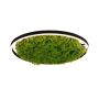 Paul Neuhaus GREEN RITUS 15392-66 Plafonlámpa 1x28W/LED 3000k 960lm ip20
