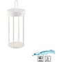 Paul Neuhaus ANSELM 19300-16 Asztali lámpa 1x1,5W/LED 2700k 130lm ip44