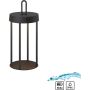 Paul Neuhaus ANSELM 19300-18 Asztali lámpa 1x1,5W/LED 2700k 130lm ip44