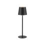 Paul Neuhaus BOTERIA 19251-18 Asztali lámpa 1x2,5W/LED 3000K 180lm IP20