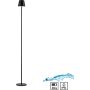 Paul Neuhaus EURIA 19252-18 Állólámpa 1x2,5W/LED 3000k 320lm ip54