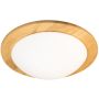 Fischer&Honsel SHINE-WOOD 21489 Plafonlámpa 2x40w/e27 ip20