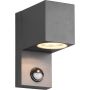 Trio ROYA 214269142 Fali lámpa 1x35w/gu10 ip44
