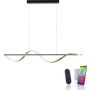 Paul Neuhaus Q-SWING 2385-13 Függőlámpa 1x28W/LED 2700-5000k 3100lm ip20