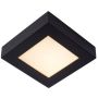 Lucide BRICE-LED 28117/17/30 Plafonlámpa 1x15w/led 3000k 800lm ip44