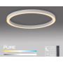 Paul Neuhaus PURE LINES ROUND 6306-16 Plafonlámpa 1x42W/LED 2200-5000k 4300lm ip20