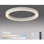Paul Neuhaus PURE LINES ROUND 6309-16 Plafonlámpa 1x30W/LED 2200-5000k 3300lm ip20