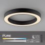 Paul Neuhaus PURE LINES ROUND 6310-13 Plafonlámpa 1x21W/LED 2200-5000k 1600lm ip20