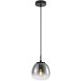 Italux Antita PND-3650-1S-BK-CSG Függőlámpa 1x40W/LED IP20