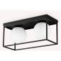 Ideal Lux LINGOTTO 304137 Plafonlámpa 2x28W/E14 ip20
