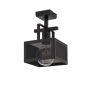 Sigma Lighting ALBERT 32178 Plafonlámpa 1x60W/E27