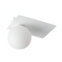 Sigma Lighting ARGON 33272 Süllyesztett mennyezeti lámpa 1x12W/G9