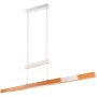 Trio TRAJAN 375390531 Függőlámpa 1x46w/led 2700-5000k 5300lm ip20
