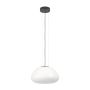 Eglo BALMES 390201 Függőlámpa 1x40W/E27 IP20