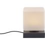 Paul Neuhaus DADOA 4036-13 Asztali lámpa 1x7W/LED 3000k 580lm ip20