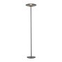 Paul Neuhaus PURE VITRUM 481-15 Állólámpa 2x14,2W/LED 2700K 500lm IP20