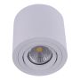 Prezent ALMAN I. 48606 Felületi spotlámpa 1x50W/GU10 IP20