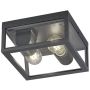 Trio GARONNE 601860242 Plafonlámpa 2x10w/e27 ip44