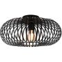 Trio JOHANN 606900132 Plafonlámpa 1x60w/e27 ip20