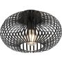 Trio JOHANN 606903032 Plafonlámpa 1x60w/e27 ip20
