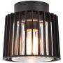 Lutec SHYNE 6397501012 Plafonlámpa 1x25w/e27 ip54