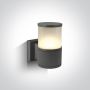 One Light Tube Lights 67094/AN Fali lámpa 1x20W/E27 IP54