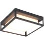Trio WITHAM 677860142 Plafonlámpa 1x14w/led 2300+3000+4000k 1550lm ip54