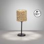 Fischer&Honsel Hyazinthe 50678 Asztali lámpa 1x25W/E14 IP20