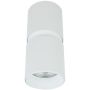 Zambelis CEILING SPOT S159 Felületi spotlámpa 1x40w/GU10 IP20