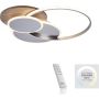 Paul Neuhaus PALMA 8328-79 Plafonlámpa 1x55W/LED 2700-5000k 6000lm ip20