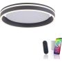 Paul Neuhaus Q-VITO 8414-13 Plafonlámpa 1x33W/LED 2700-5000k 3250lm ip20