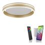 Paul Neuhaus Q-VITO 8414-60 Plafonlámpa 1x33W/LED 2700-5000k 3250lm ip20