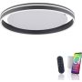 Paul Neuhaus Q-VITO 8416-13 Plafonlámpa 1x44W/LED 2700-5000k 4570lm ip20