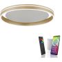 Paul Neuhaus Q-VITO 8416-60 Plafonlámpa 1x44W/LED 2700-5000k 4570lm ip20