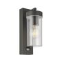 Endon HAYDEN PIR 99756 Fali lámpa 15W/E27 IP44