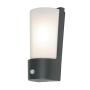 Elstead Lighting SECURITY LANTERS AZ-LE7-D-GRY-PIR Fali lámpa 1x18W/LED IP44